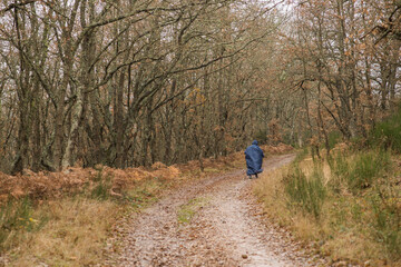 Scenes from the Camino de Santiago as it passes through Montes de Oca, province of Burgos, Spain