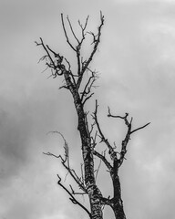 Природа, пейзаж, ландшафт