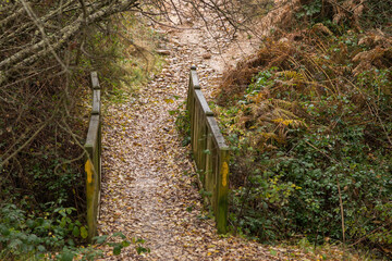 Scenes from the Camino de Santiago as it passes through Montes de Oca, province of Burgos, Spain