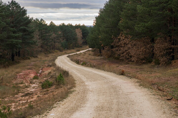 Scenes from the Camino de Santiago as it passes through Montes de Oca, province of Burgos, Spain