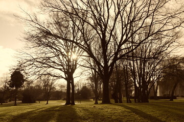 Fototapety na wymiar - Fototapeta24.pl