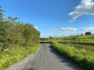 Fototapeta na wymiar View along the, B6478 road, with hedgerow, wild plants, and sheep grazing in the fields near, Long Preston, Skipton, UK
