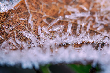 Winter - Schnee - Eis