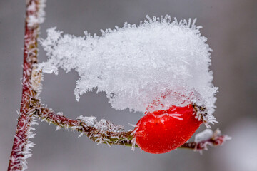 Winter - Schnee - Eis