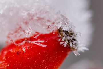 Winter - Schnee - Eis