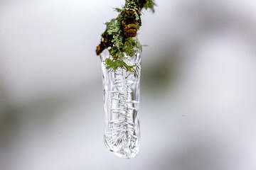 Winter - Schnee - Eis