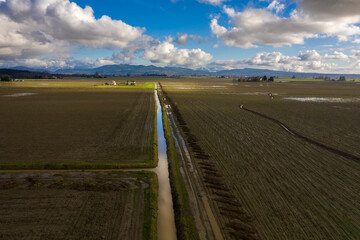 Fototapeta na wymiar Irrigation Ditch in the Skagit Valley, Washington. Skagit County maintains one of the largest and most diverse agricultural communities west of the Cascade mountain range. 