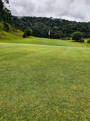 Fototapeta premium golf course in the morning