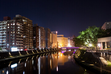 Obraz premium 鹿児島市維新ふるさと館周辺の夜景と甲突川 