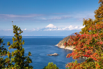 駿河湾と富士山