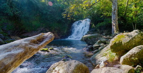 Fototapeta na wymiar waterfalls de la Monja on xico veracruz Travel Concept