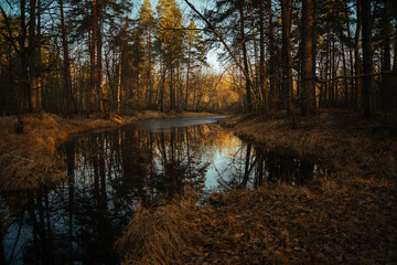 Forest river