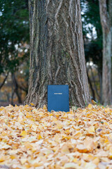 Holy Bible on tree trunk outdoors in autumn with yellow fallen leaves. Copy space. Vertical shot