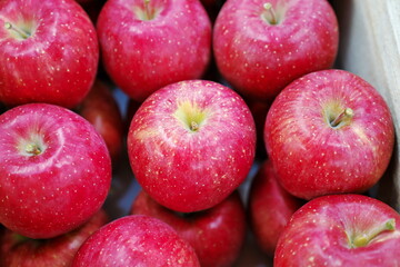 Fototapeta na wymiar 土産物売り場で売られているリンゴ