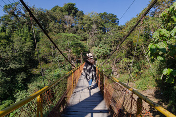 Travel concept. Back view of young woman outdoors discovering jungle