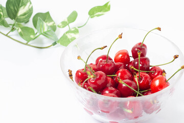 さくらんぼイメージ02