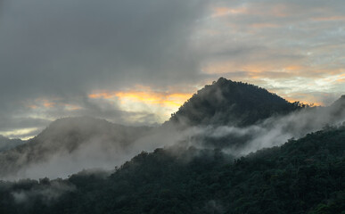 Cloud forest panoramic sunrise, Mindo, Ecuador.