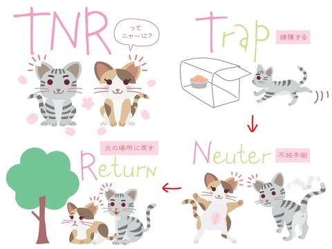 地域猫TNRのイラストのセット