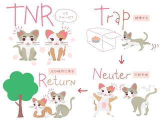 Obraz na płótnie Canvas 地域猫TNRのイラストのセット