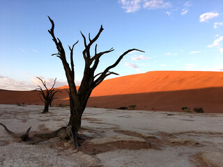 Fototapeta na wymiar Unique desert landscape in Sossusvlei, Namibia