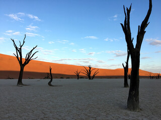 Unique desert landscape in Sossusvlei, Namibia