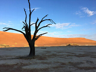 Unique desert landscape in Sossusvlei, Namibia