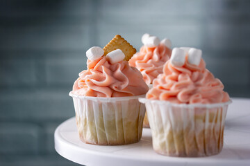 Cupcake with marshmallow and crackers