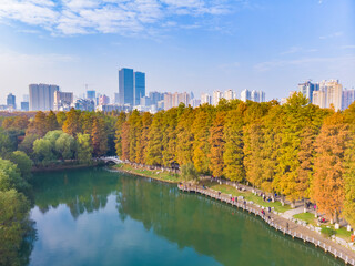 Hubei Wuhan Liberation Park late autumn aerial scenery