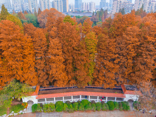 Hubei Wuhan Liberation Park late autumn aerial scenery