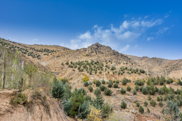 Fototapeta na wymiar Tochal mountain with rocks and trees in the Zafaraniyeh and velenjak valley gainst blue sky, Tehran, Iran.