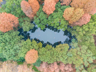 Hubei Wuhan East Lake Scenic Area Late Autumn Aerial Photography Scenery