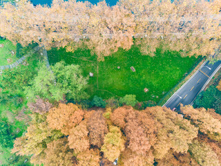 Hubei Wuhan East Lake Scenic Area Late Autumn Aerial Photography Scenery