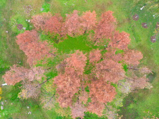 Hubei Wuhan East Lake Scenic Area Late Autumn Aerial Photography Scenery