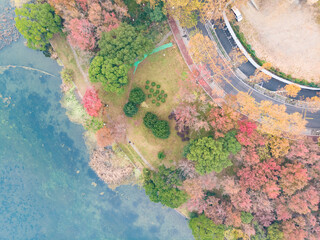 Hubei Wuhan East Lake Scenic Area Late Autumn Aerial Photography Scenery