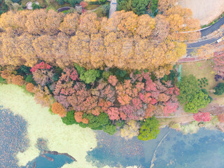 Hubei Wuhan East Lake Scenic Area Late Autumn Aerial Photography Scenery