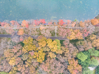 Hubei Wuhan East Lake Scenic Area Late Autumn Aerial Photography Scenery