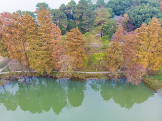 Hubei Wuhan East Lake Scenic Area Late Autumn Aerial Photography Scenery