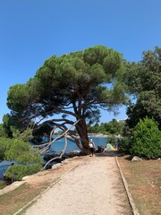 Rovinj Istrien Kroatien Adria Mittelmeer - Gebiet Richtung S&uuml;den von der Altstadt im Sommer