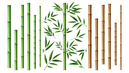 Realistic bamboo stick. Brown and green tree branch and stems with leaves isolated decorative closeup elements, east forest trees collection, exotic botanical decor object, eco material vector 3d set © SpicyTruffel