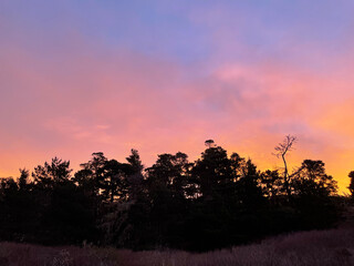 Obraz premium Orange pink sunset color at big sur