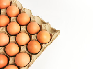 Top view a bunch of raw chicken eggs in tray isolated on white background with copy space.