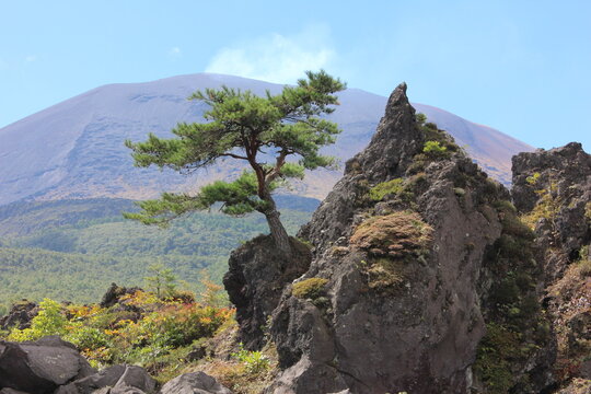 鬼押し出し園。1783年におきた浅間山の噴火の際に流れ出た溶岩でできた景勝地。