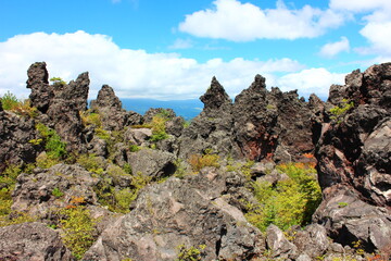 鬼押し出し園。1783年におきた浅間山の噴火の際に流れ出た溶岩でできた景勝地。