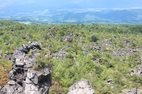 鬼押し出し園。1783年におきた浅間山の噴火の際に流れ出た溶岩でできた景勝地。