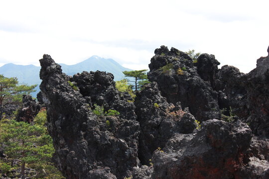 鬼押し出し園。1783年におきた浅間山の噴火の際に流れ出た溶岩でできた景勝地。