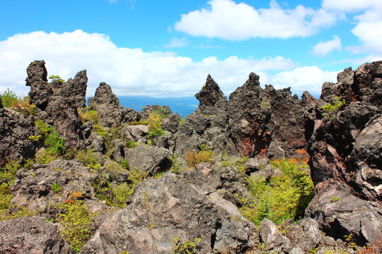 鬼押し出し園。1783年におきた浅間山の噴火の際に流れ出た溶岩でできた景勝地。
