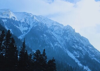 Obraz premium Winter in Colorado