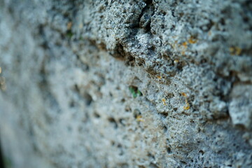 Macro photography with selective focus of rocks with lichen and copy space
