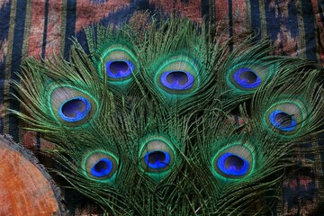 Fototapeta premium This photo is a peacock feather detail and texture