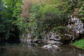 Naklejka na ściany i meble Small lake with rocks in a forest
